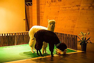 街机游戏《发条水瓶座》重启 11月30日发售